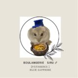 【minneで開業】ミニチュアハンドメイド　Boulangerie siru♂の紹介