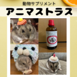 【動物サプリメント】ハムスターにアニマストラスを与えよう