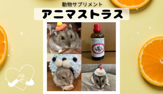 【動物サプリメント】ハムスターにアニマストラスを与えよう