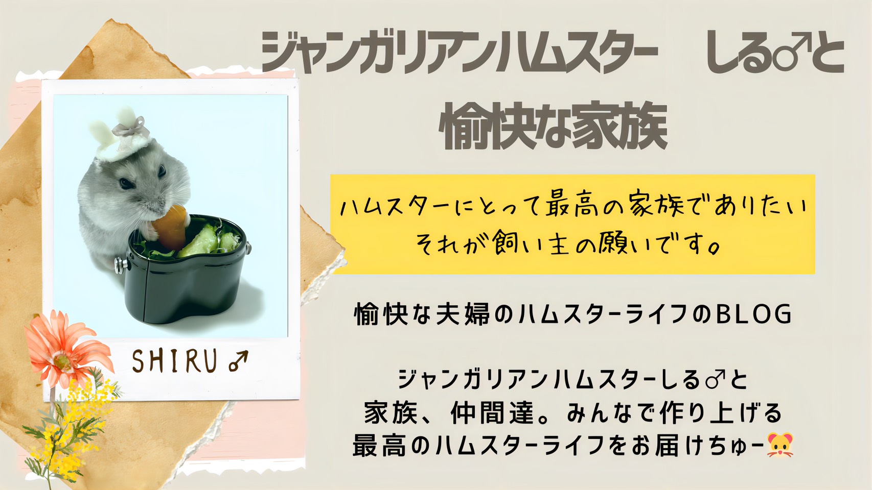 ジャンガリアンハムスター しる♂と愉快な家族